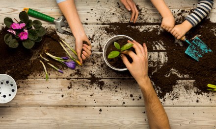 Half Term Activities and Events at The Higgins Bedford