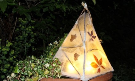 Half-term events with the Greensand Trust