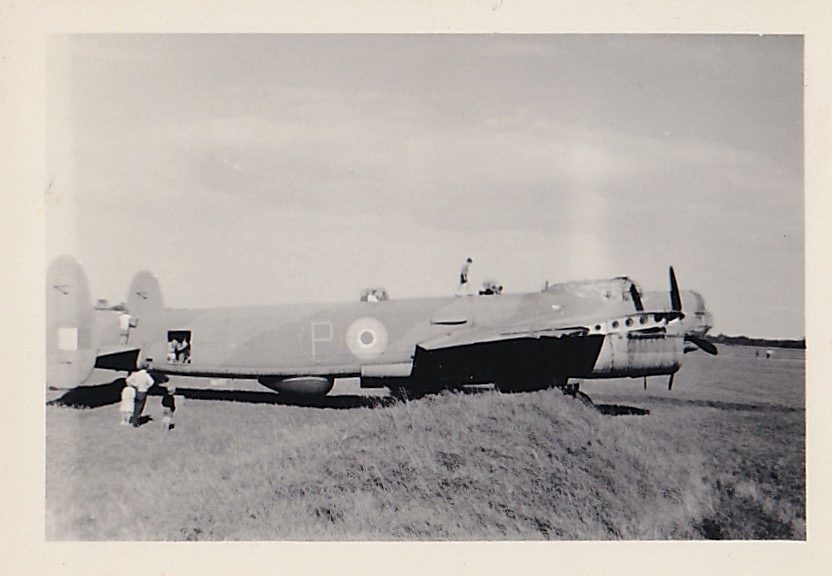 Mystery Image from M Wood